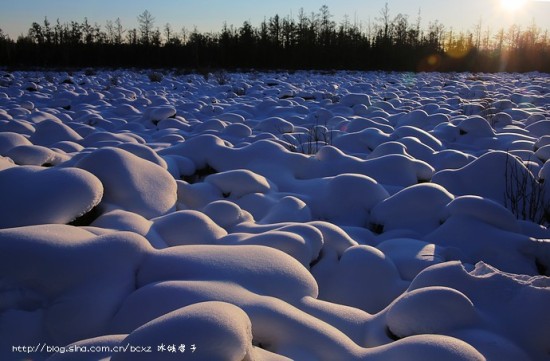 1614905168169981.jpg 3137759013.jpg