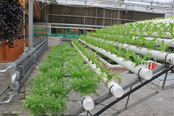 1614905204149416.jpeg wKgB21AJZQWGH2r2AA98PK0jvYw12.jpeg